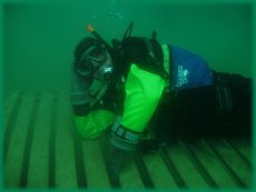 PADI Drysuit Diver